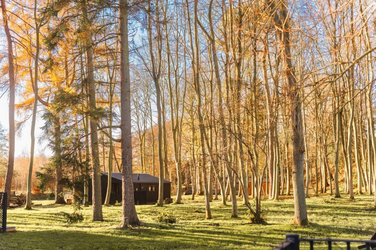 Riverside Cabins シュルーズベリー エクステリア 写真